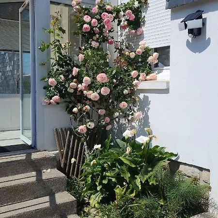 Maison De Standing Avec Jardin Et Spa Quimper Esterno foto